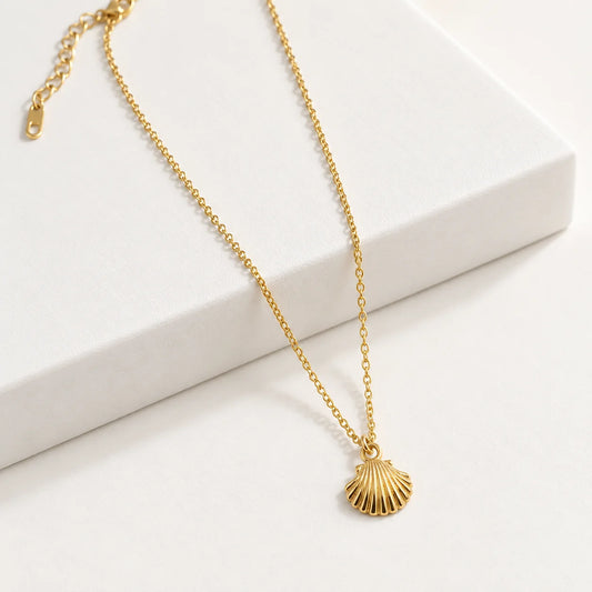 Shell Necklace