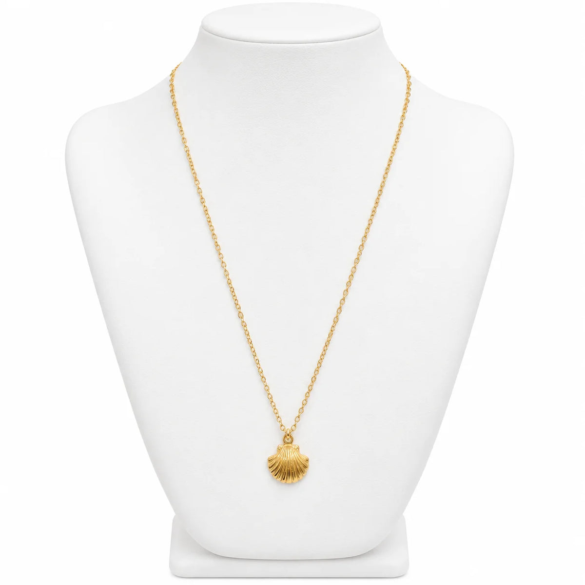 Shell Necklace