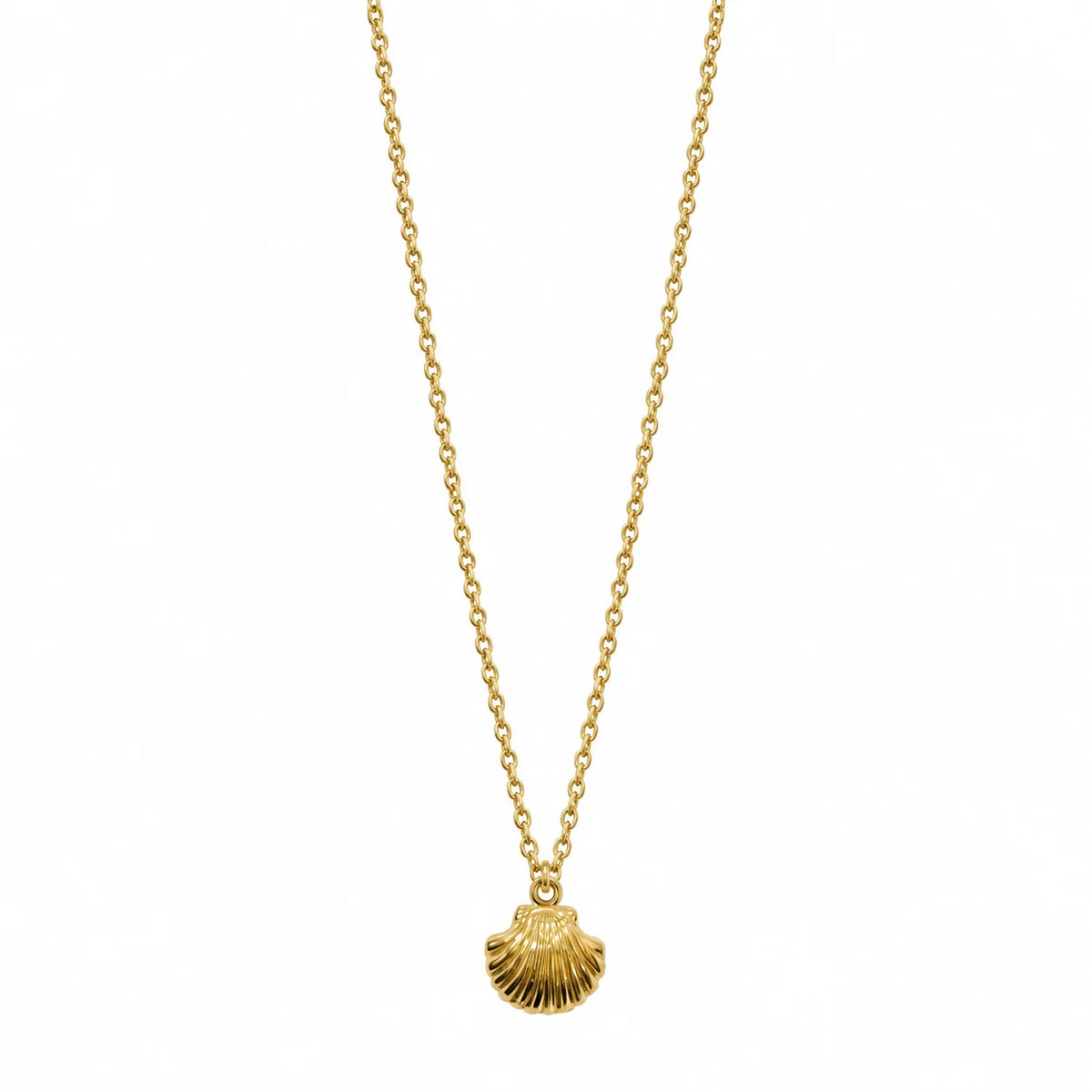 Shell Necklace
