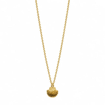 Shell Necklace